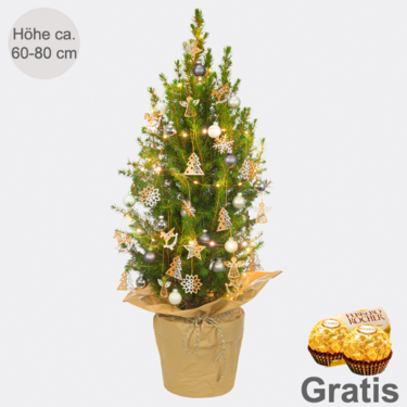 Weihnachtsbaum Weihnachtslaune mit Lichterkette & mit 2 Ferrero Rocher