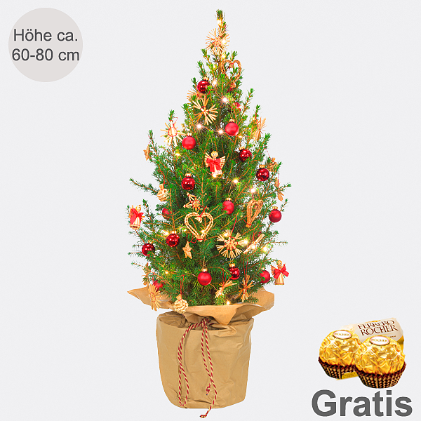Weihnachtsbaum Weihnachtsstrahlen mit Lichterkette & mit 2 Ferrero Rocher