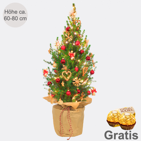 Weihnachtsbaum Weihnachtsstrahlen mit Lichterkette & mit 2 Ferrero Rocher