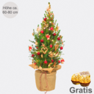 Weihnachtsbaum Weihnachtsstrahlen mit Lichterkette & mit 2 Ferrero Rocher