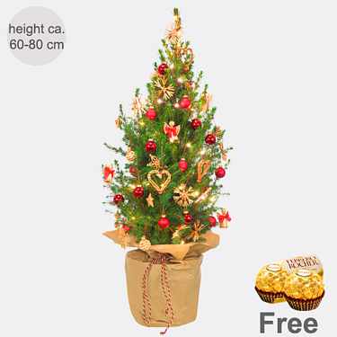 X-Mas Tree Weihnachtsstrahlen with X-Mas lights & with 2 Ferrero Rocher