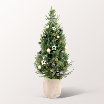 Weihnachtsbaum Goldschimmer mit Lichterkette