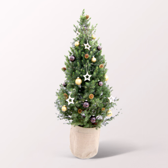 Christmas Tree Goldschimmer with X-Mas lights