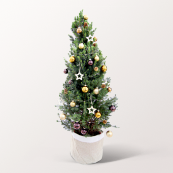 Weihnachtsbaum Winterleuchten mit Lichterkette