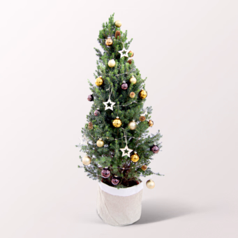 Christmas Tree Winterleuchten with X-Mas lights