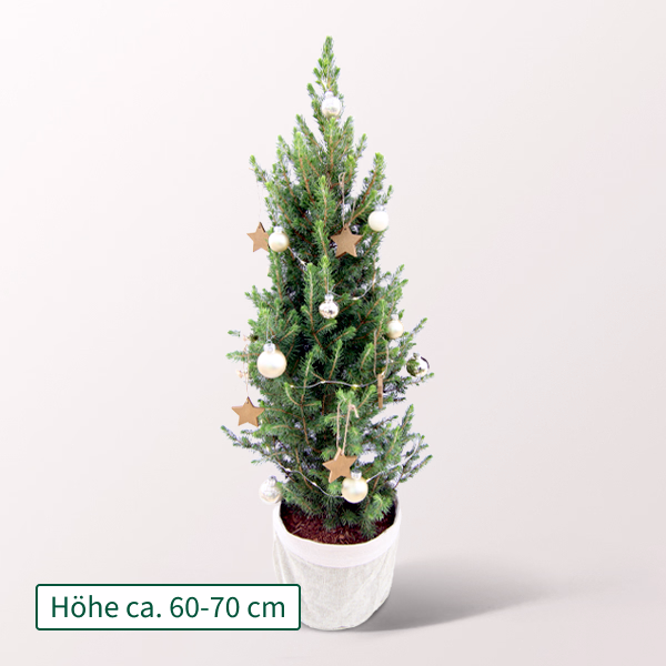 Weihnachtsbaum Sweet Christmas mit Lichterkette