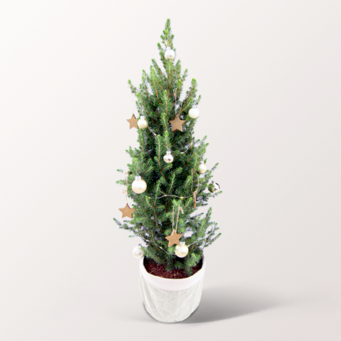 Weihnachtsbaum Sweet Christmas mit Lichterkette