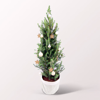 Christmas Tree Sweet Christmas with X-Mas lights