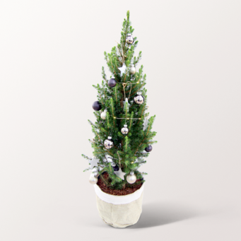 Weihnachtsbaum Winterwunderland mit Lichterkette