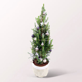 Christmas Tree Winterwunderland with X-Mas lights