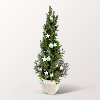 Weihnachtsbaum Sterntaler mit Lichterkette