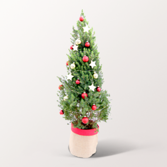 Weihnachtsbaum Weihnachtstraum mit Lichterkette