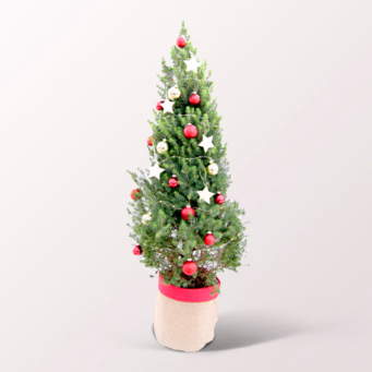 Christmas Tree Weihnachtstraum with X-Mas lights