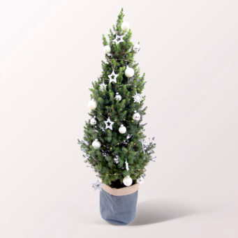 Christmas Tree Lichterglanz with X-Mas lights