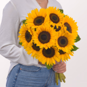 Sonnenblumen im Bund