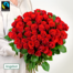 50 rote Fairtrade Rosen im Bund
