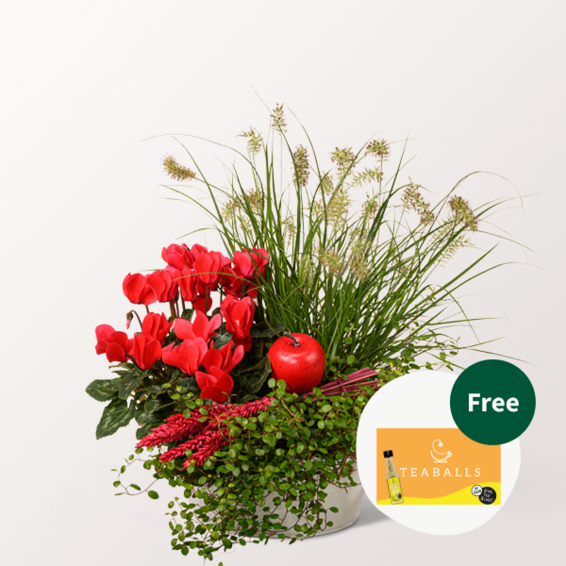 Arrangement Gartenzauber with Teaballs