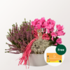 Arrangement Herbstfestival with Teaballs