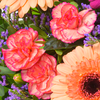 Blumenstrauß Herbstzauber mit Vase & Teaballs & Ferrero Giotto 3er