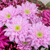 Blumenstrauß Herbstbote mit Vase & Teaballs & Ferrero Giotto 3er