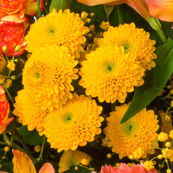 Premium Bouquet Herbstsonne with Premium Vase & Halloren Balls