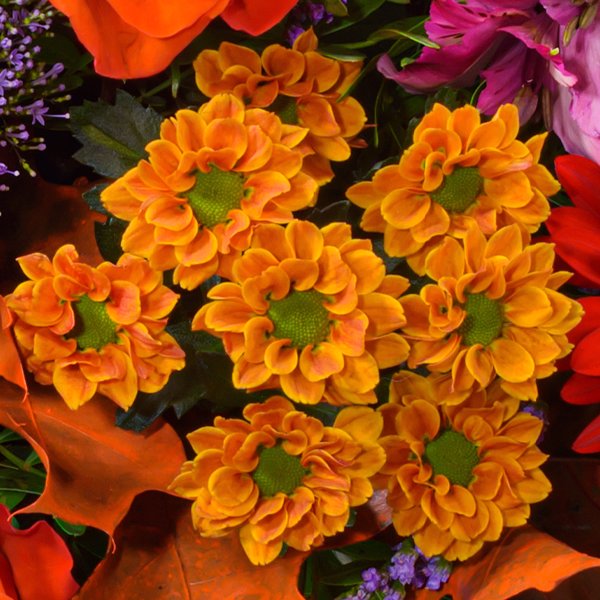 Premiumstrauß Lust auf Herbst mit Premiumvase & Halloren Kugeln