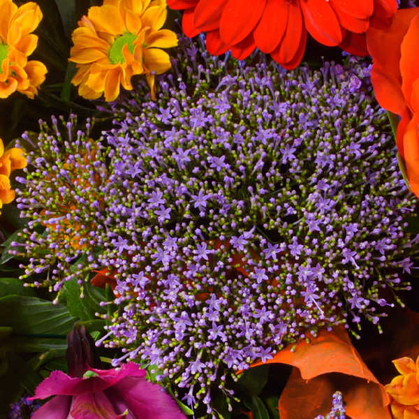 Premiumstrauß Lust auf Herbst mit Premiumvase & Halloren Kugeln