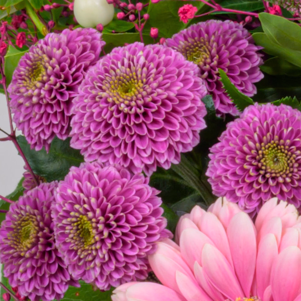 Premiumstrauß Herbstkind mit Premiumvase & Halloren Kugeln