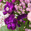Flower Mix Herbstduft with 3 Ferrero Giotto & Teaballs