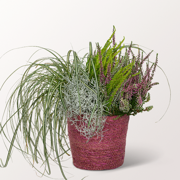 Autumnal Diversity in a See Grass Basket Send flowers online with