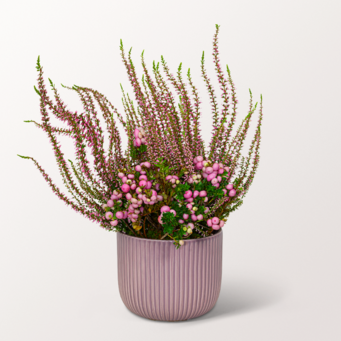 Flower Magic in a Lilac-Coloured Ceramic Pot with Teaballs