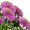 Blumenstrauß Herbstgefühle mit Vase & Teaballs & Ferrero Giotto 3er