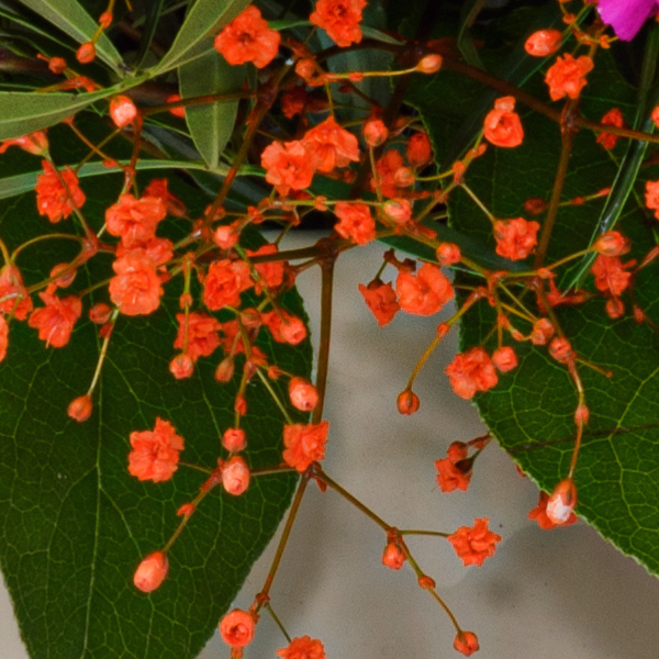 Blumenstrauß Herbstblüten mit Halloren Kugeln & Vase