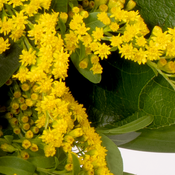 Flower Bouquet Herbstfest with 2 Cinema Tickets & vase Send flowers