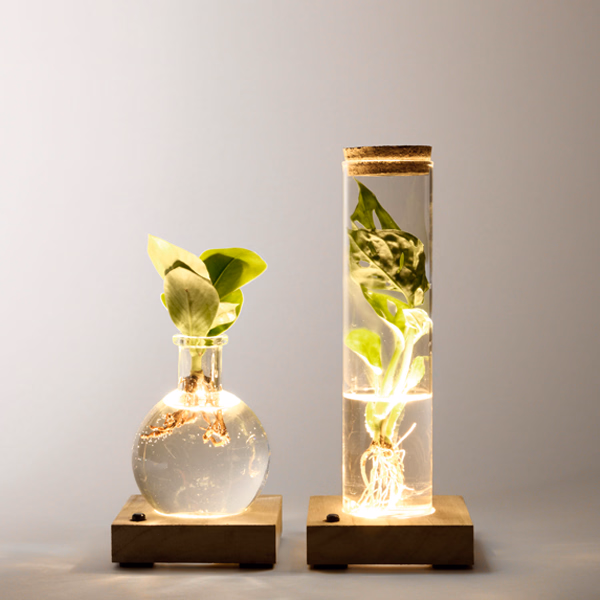Set of 2 Water Plants with LED lights