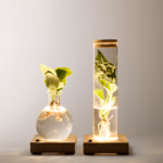 Set of 2 Water Plants with LED lights