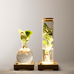 Set of 2 Water Plants with LED lights