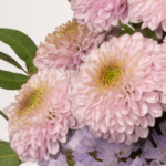 Blumenstrauß Blütenschönheit mit Vase & Ferrero Giotto 3er