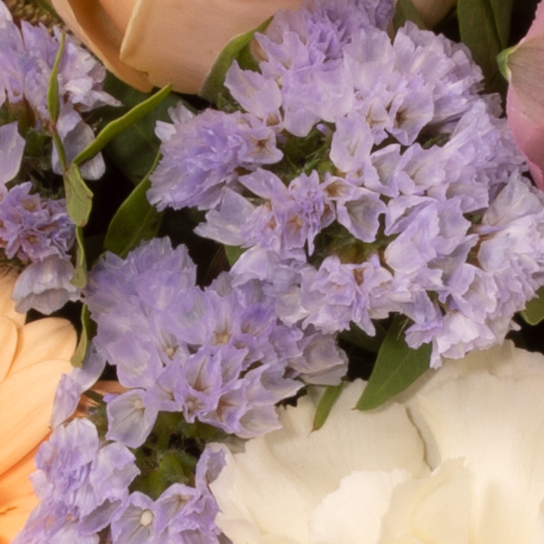 Blumenstrauß Blütenschönheit mit Vase & Ferrero Giotto 3er