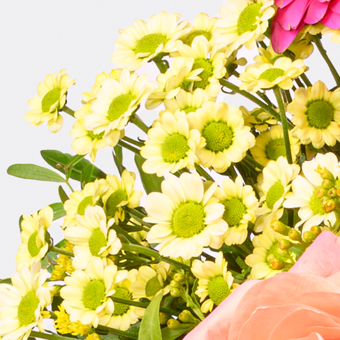 Blumenstrauß Beste Wünsche mit Vase & Ferrero Giotto 3er