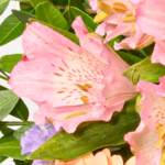Blumenstrauß Muttertagstraum mit Vase & Ferrero Giotto 3er