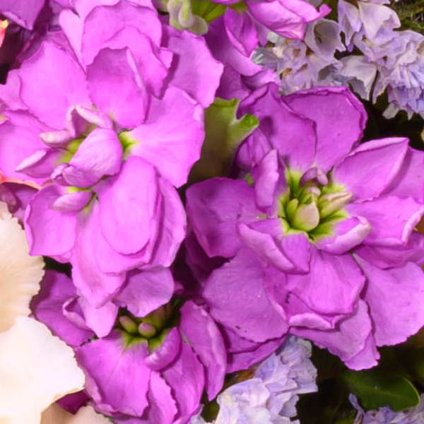 Flower Bouquet Muttertagstraum with vase & 3 Ferrero Giotto