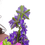 Blumenstrauß Herzlich