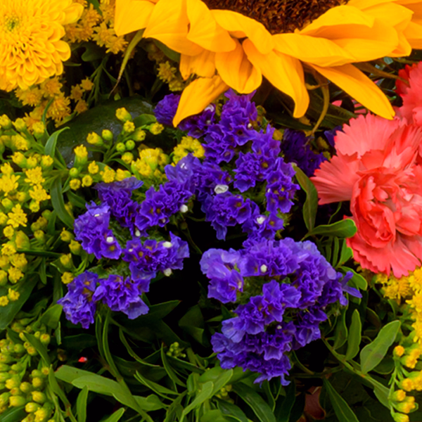 Blumenstrauß Sonnengrüße mit Vase & Ferrero Giotto