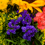 Blumenstrauß Sonnengrüße mit Vase & Ferrero Giotto 3er