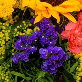 Flower Bouquet Sonnengrüße with vase & 3 Ferrero Giotto