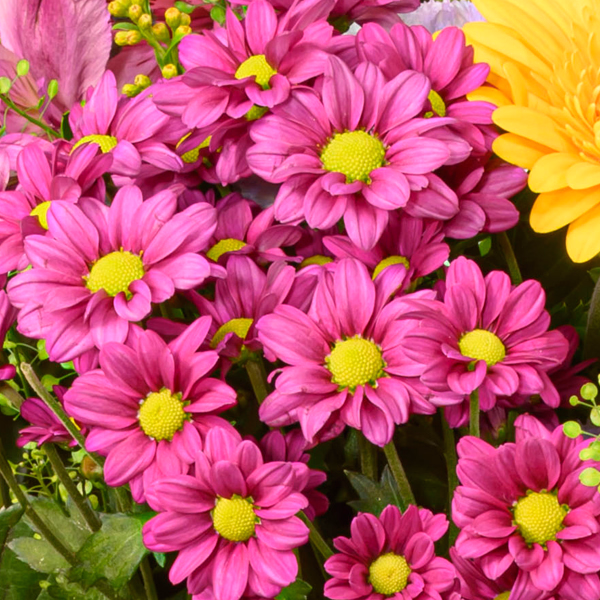 Blumenstrauß Blütenkuss mit Vase & Ferrero Giotto
