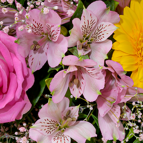 Flower Bouquet Farbentanz mit vase & 3 Ferrero Giotto