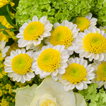 Blumenstrauß Glücksgefühl mit Vase & Ferrero Giotto 3er