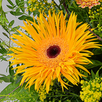 Blumenstrauß Süßer Traum mit Vase & Ferrero Giotto 3er